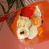 PhotoRoom-20230101_165019