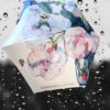 cream brolly