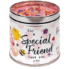 special friend 2 special friend 2