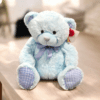 teddy