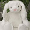 new white rabbit